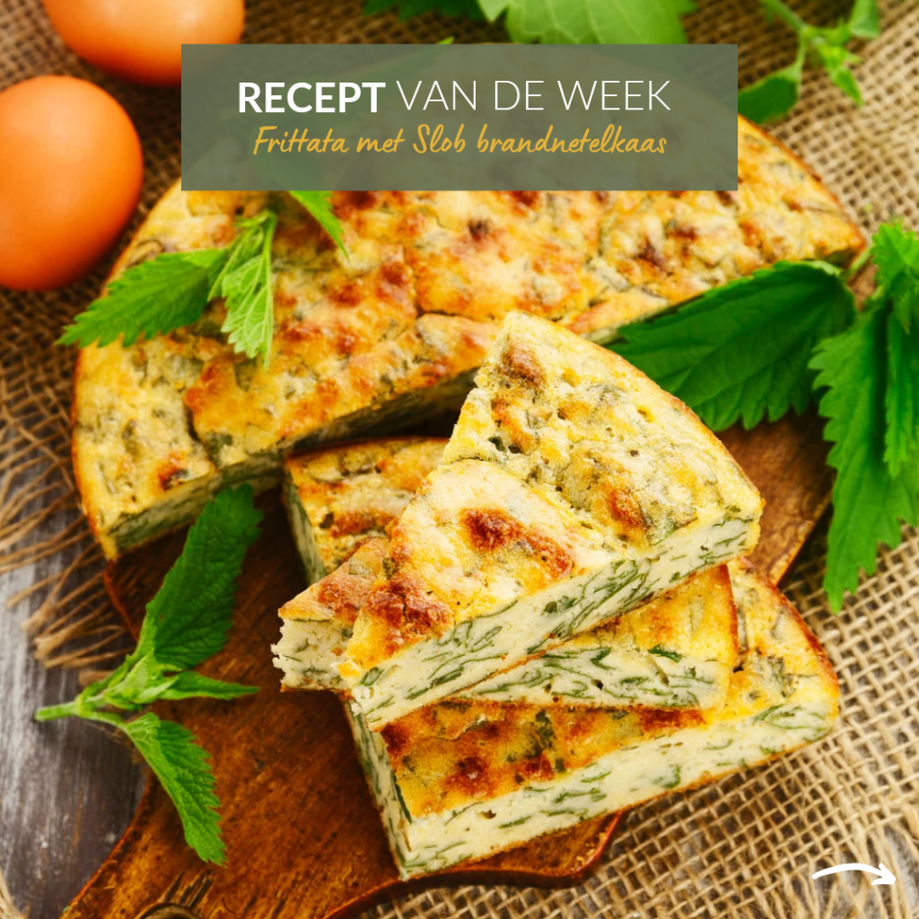 Frittata met Slob brandnetelkaas